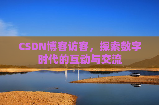 CSDN博客访客,探索数字时代的互动与交流